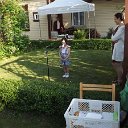 piknik (52)